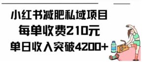 （9466期）小红书减肥私域项目每单收费210元单日成交20单，最高日入4200+-柚子资源网