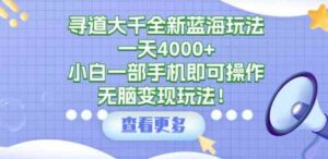 （9479期）寻道大千全新蓝海玩法，一天4000+，小白一部手机即可操作，无脑变现玩法！-柚子资源网