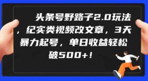 （9488期）头条号野路子2.0玩法，纪实类视频改文章，3天暴力起号，单日收益轻松破500+-柚子资源网