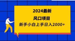 （9483期）2024最新风口项目新手小白日入2000+-柚子资源网