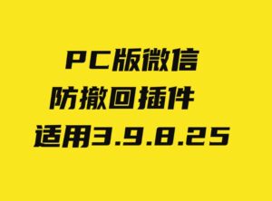 PC微信防撤回插件适用3.9.8.25-柚子资源网