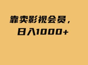 （9509期）靠卖影视会员，日入1000+-柚子资源网