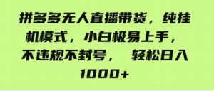 （9511期）拼多多无人直播带货，纯挂机模式，小白极易上手，不违规不封号，轻松日…-柚子资源网