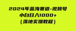 （9515期）2024年蓝海赛道视频号小白日入1000+落地实操教程-柚子资源网