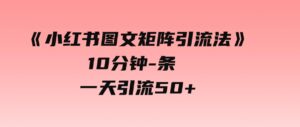 （9538期）《小红书图文矩阵引流法》10分钟-条，一天引流50+-柚子资源网