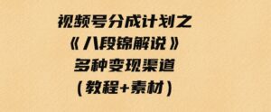 （9537期）视频号分成计划之《八段锦解说》，多种变现渠道，小白友好（教程+素材）-柚子资源网