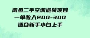 （9539期）闲鱼二手空调搬砖项目，一单收入200-300，适合新手小白上手-柚子资源网