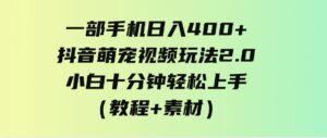 （9540期）一部手机日入400+，抖音萌宠视频玩法2.0，小白十分钟轻松上手（教程+素材）-柚子资源网