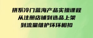 （9527期）拼系冷门蓝海产品实操课程，从注册店铺到选品上架到流量维护环环相扣-柚子资源网