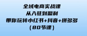 （9529期）全域电商实战课：从入驻到盈利，带你玩转小红书+抖音+拼多多（80节课）-柚子资源网