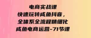 （9528期）电商实战课，快速玩转咸鱼抖音，全体系全流程精细化咸鱼电商运营-71节课-柚子资源网