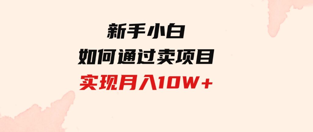 （9556期）新手小白如何通过卖项目实现月入10W+-柚子资源网