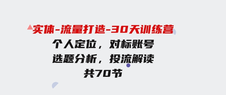 （9782期）实体-流量打造-30天训练营：个人定位，对标账号，选题分析，投流解读-70节-柚子资源网