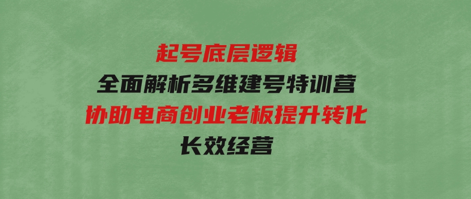 起号底层逻辑，全面解析多维建号特训营，协助电商创业老板提升转化，长效经营-柚子资源网