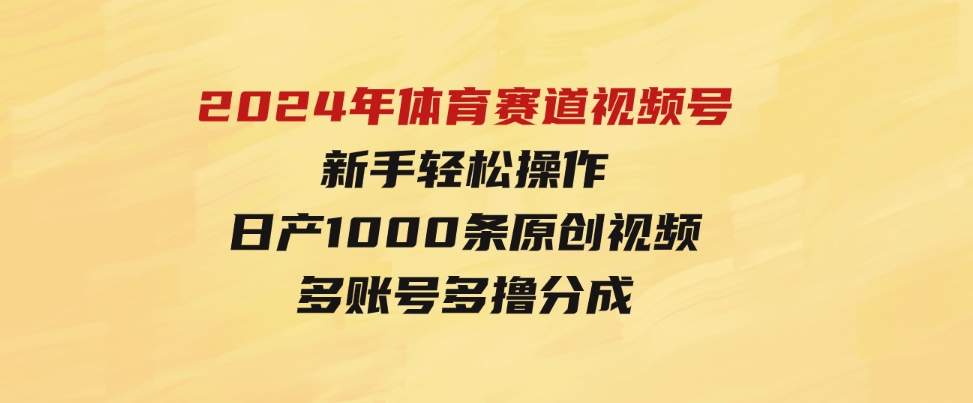 （9810期）2024年体育赛道视频号，新手轻松操作，日产1000条原创视频,多账号多撸分成-柚子资源网