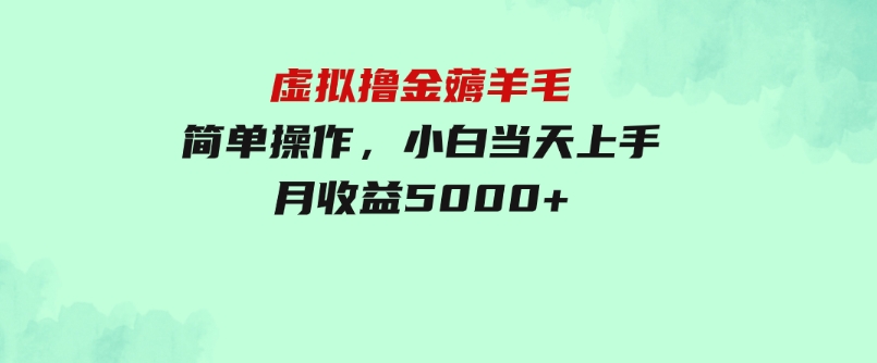 虚拟撸金薅羊毛，简单操作，小白当天上手，月收益5000+-柚子资源网