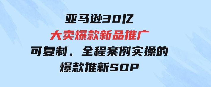 亚马逊30亿·大卖爆款新品推广，可复制、全程案例实操的爆款推新SOP-柚子资源网