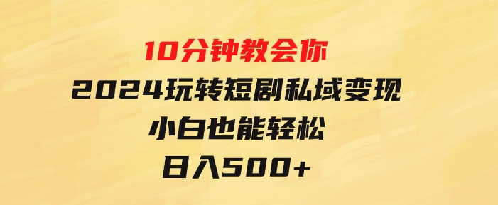 10分钟教会你2024玩转短剧私域变现，小白也能轻松日入500+-柚子资源网