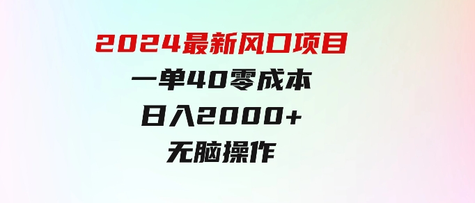 2024最新风口项目，一单40，零成本，日入2000+，无脑操作-柚子资源网