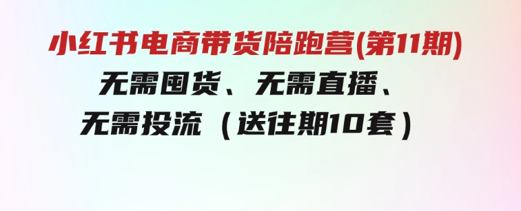 小红书电商带货陪跑营(第11期)无需囤货、无需直播、无需投流（送往期10套）-柚子资源网