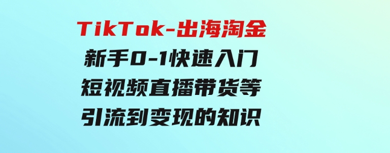 TikTok-出海淘金，新手0-1快速入门短视频直播带货等引流到变现的知识-柚子资源网