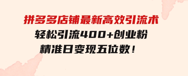 拼多多店铺最新高效引流术，轻松引流400+创业粉，精准日变现五位数！-柚子资源网