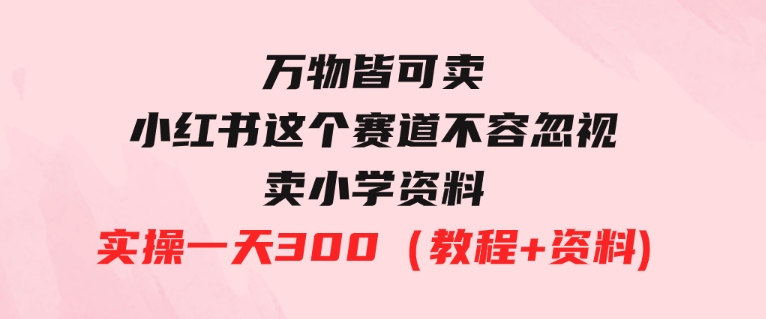 万物皆可卖，小红书这个赛道不容忽视，卖小学资料实操一天300（教程+资料)-柚子资源网