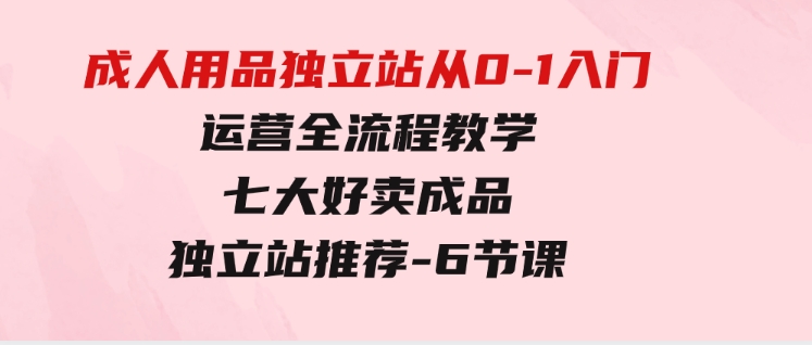 成人用品独立站从0-1入门，运营全流程教学，七大好卖成品独立站推荐-6节课-柚子资源网