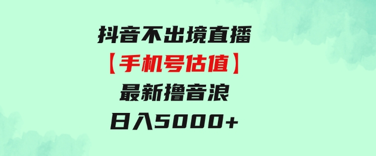 抖音不出境直播【手机号估值】最新撸音浪，日入5000+，简单易学-柚子资源网