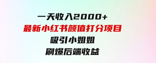 一天收入2000+，最新小红书颜值打分项目，吸引小姐姐，刷爆后端收益-柚子资源网