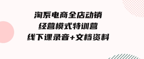 淘系电商全店动销经营模式特训营，线下课录音+文档资料-柚子资源网