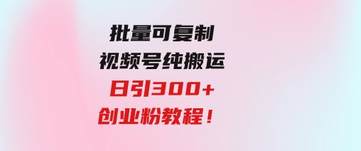 批量可复制！视频号纯搬运日引300+创业粉教程！-柚子资源网