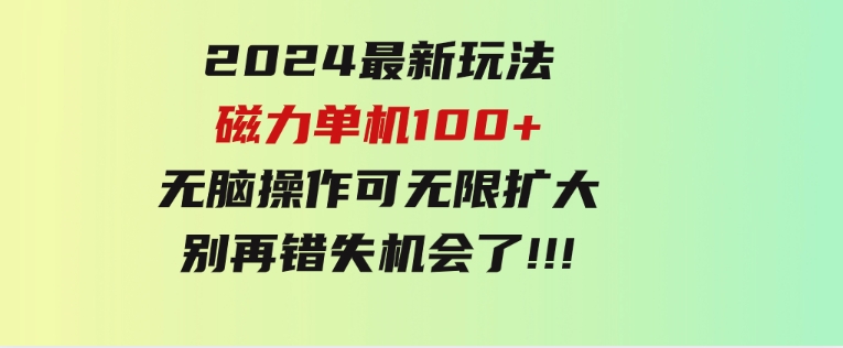 2024最新玩法，磁力单机100+，无脑操作，可无限扩大。别再错失机会了!!!-柚子资源网