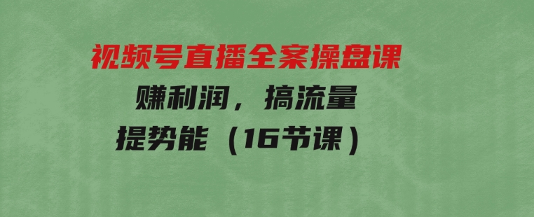 视频号直播全案操盘课，赚利润，搞流量，提势能（16节课）-柚子资源网