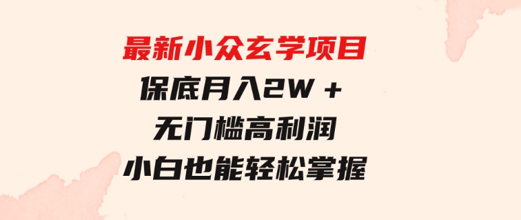 最新小众玄学项目，保底月入2W＋无门槛高利润，小白也能轻松掌握-柚子资源网