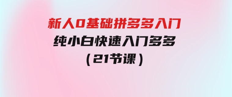 新人0基础拼多多入门，​纯小白快速入门多多（21节课）-柚子资源网