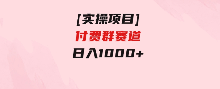 [实操项目]付费群赛道，日入1000+-柚子资源网