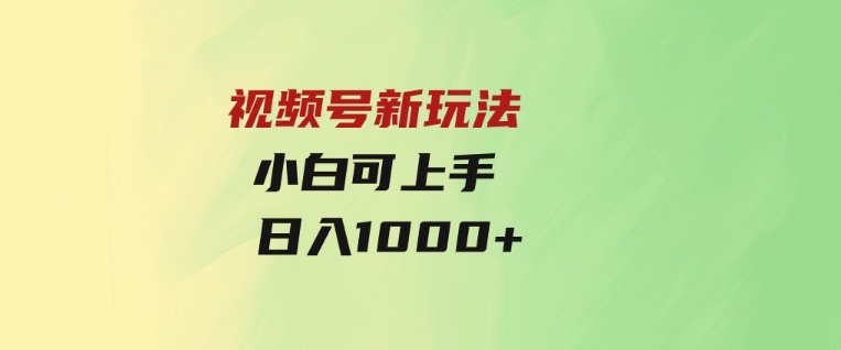 视频号新玩法小白可上手日入1000+-柚子资源网