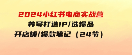 2024小红书电商实战营，养号打造IP/选爆品/开店铺/爆款笔记/等等（24节）-柚子资源网