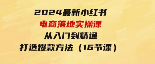 2024最新小红书电商落地实操课，从入门到精通，打造爆款方法（16节课）-柚子资源网