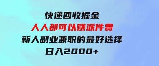 快递回收掘金，人人都可以赚派件费，新人副业兼职的最好选择，日入2000+-柚子资源网