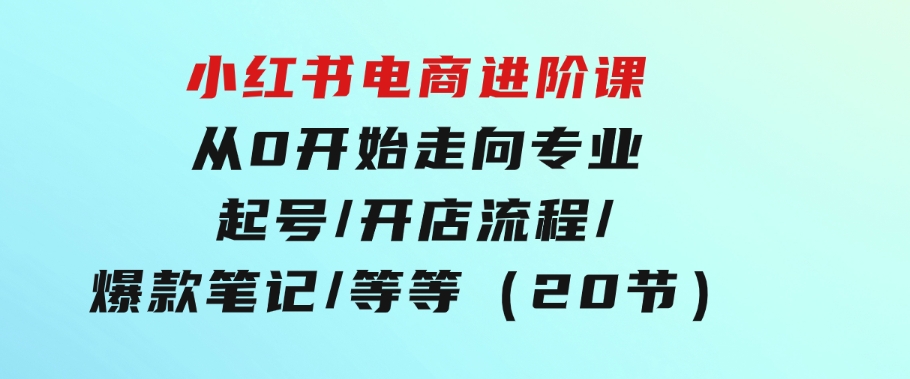 小红书电商进阶课：从0开始走向专业起号/开店流程/爆款笔记/等等（20节）-柚子资源网