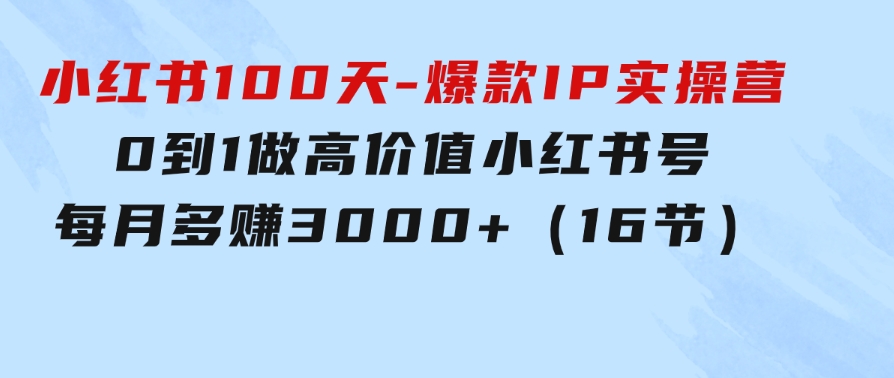 小红书100天-爆款IP实操营，0到1做高价值小红书号每月多赚3000+（16节）-柚子资源网