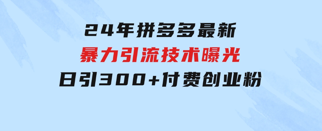 24年拼多多最新暴利引流技术曝光，日引300+付费创业粉，操作简单，流量…-柚子资源网