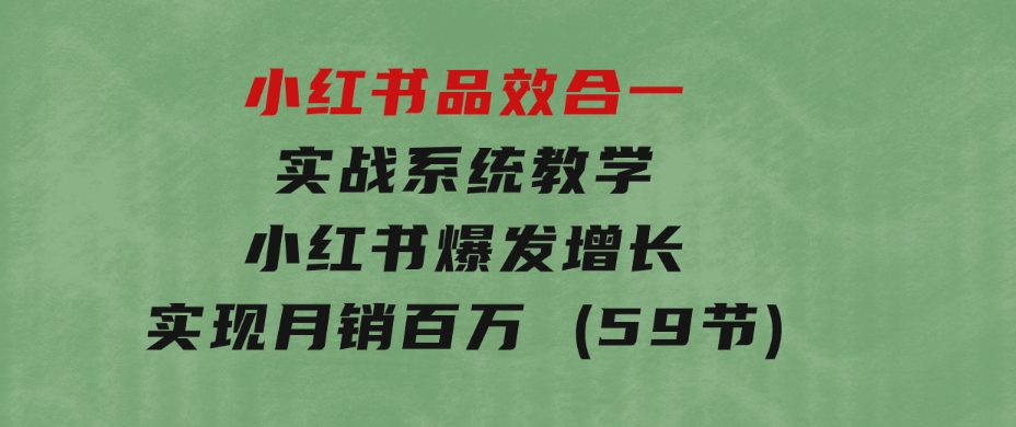 小红书品效合一实战系统教学：小红书爆发增长，实现月销百万(59节)-柚子资源网