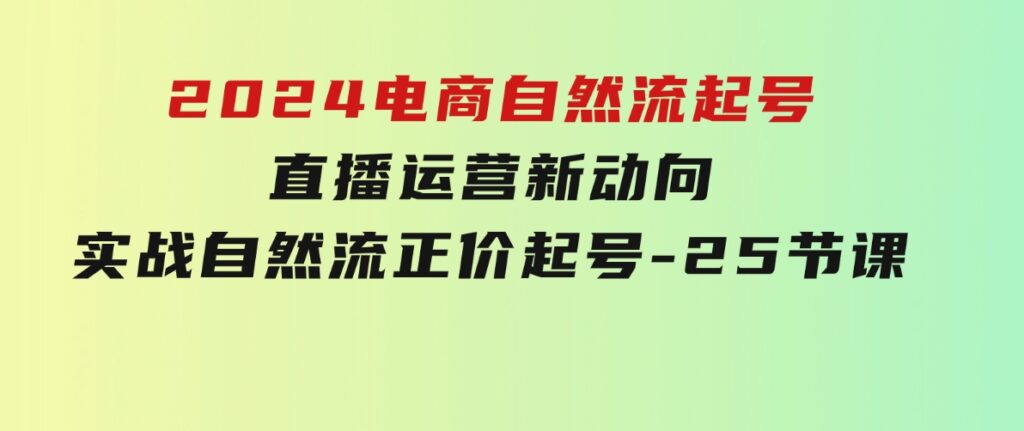 2024电商自然流起号，直播运营新动向实战自然流正价起号-25节课-柚子资源网