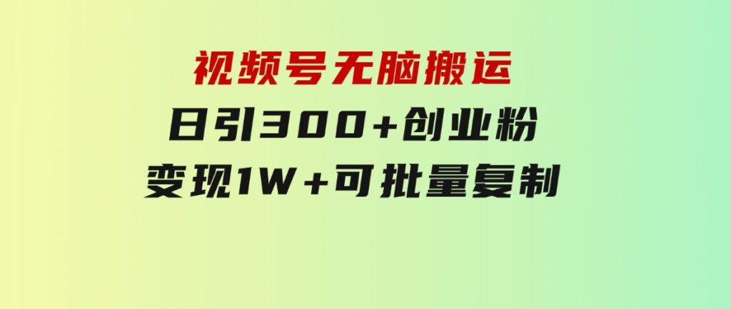 视频号无脑搬运日引300+创业粉，变现1W+可批量复制-柚子资源网