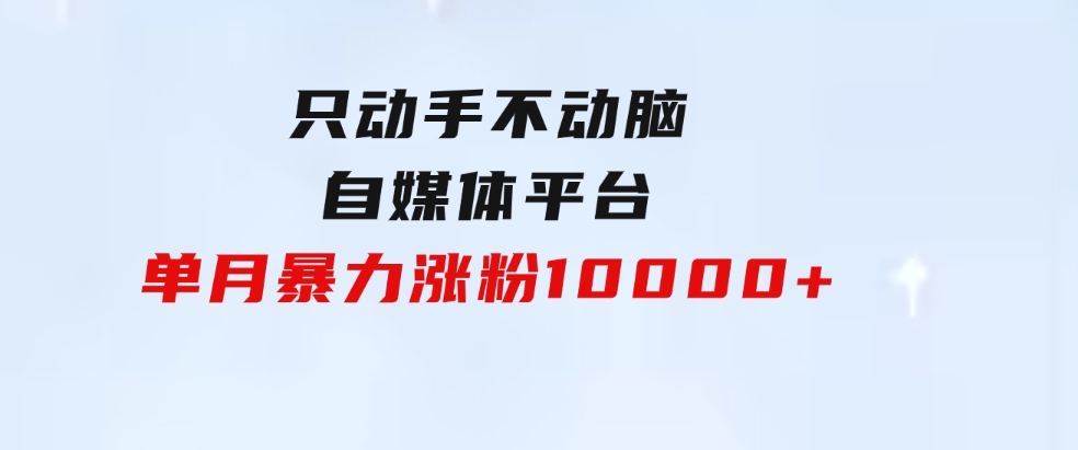 只动手不动脑，自媒体平台单月暴力涨粉10000+-柚子资源网