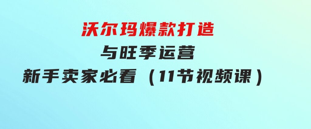 沃尔玛爆款打造与旺季运营，新手卖家必看（11节视频课）-柚子资源网