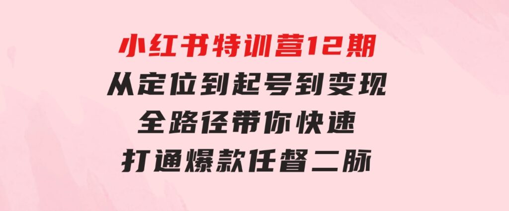 小红书特训营12期：从定位到起号、到变现全路径带你快速打通爆款任督二脉-柚子资源网